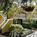 Residence Inn by Marriott Orlando International Drive::Expedia