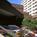 Hickory Ridge Marriott Conference Center::Yahoo! Travel
