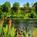 Riverside Inn Resort And Conference Center::Priceline.com