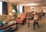 The Peabody Little Rock
