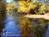 The Kaaterskill::BedAndBreakfast.com