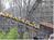 Kings Dominion::ThemeParkInsider