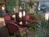 The Plaza Hotel on Carowinds::Orbitz