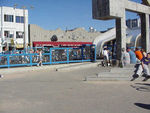 Tn-250px-muscle_beach