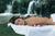 Outrigger Reef on the Beach::Orbitz