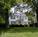 Walnut Lane Inn::BedAndBreakfast.com