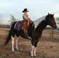 CampJunction ~ Exotic Zoo & Pony Rides