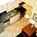 Residence Inn By Marriott Milwaukee Brookfield::Expedia