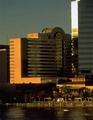 Omni Jacksonville Hotel
