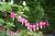 High Pointe Inn::BedAndBreakfast.com