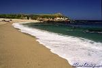 Monastery Beach