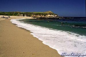 Monastery Beach::Shorediving.com