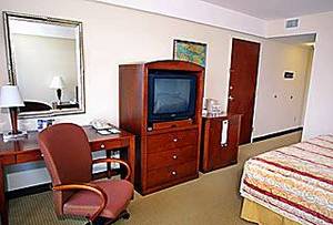 Web-281536_6_b