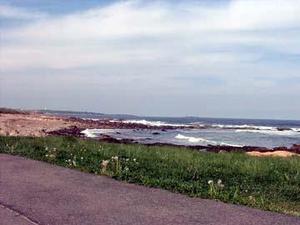 Ocean View Inn & Resort::VirtualTourist