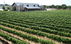 Web-delaney_vineyard_aerial