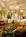 Omni Severin Hotel::Expedia