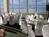 Best Western Yacht Harbor Inn::Orbitz