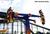 Dorney Park::ThrillNetwork.com