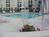 The Palms Hotel and Villas by Lexington::ProfessionalTravelGuide.com