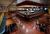 Sheraton City Centre Hotel, Salt Lake City::Orbitz