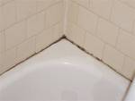 Americas Best Value Inn