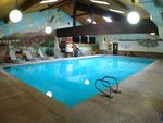 Best Western Tree House Motor Inn
