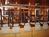 The Muse Hotel, A Kimpton Hotel::TravelPost.com