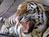 BREC's Baton Rouge Zoo::BREC's Baton Rouge Zoo