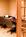 Marriott Columbia::Hotels.com