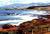 Best Western Cavalier Oceanfront Resort::Priceline.com