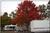Shreveport/Bossier KOA::ReserveAmerica.com