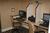 Staybridge Suites Plantation::Priceline.com