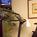 Residence Inn by Marriott Jackson::Travelocity.com