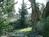 Ashland Royal Carter House::BedAndBreakfast.com