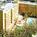 Residence Inn Anaheim Resort Area from Expedia