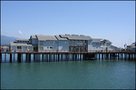 Ty Warner Sea Center