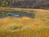 Eastham Seashore Bed and Breakfast::BedAndBreakfast.com