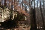 Tishomingo State Park::ReserveAmerica.com