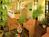 Econo Lodge Hicksville::Orbitz