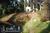 Backyard Garden Oasis::BedAndBreakfast.com