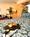 Best Western Airport Plaza::Expedia