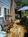 The Morgan Inn Bed and Breakfast::BedAndBreakfast.com