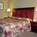 Royal Coachman Inn::Priceline.com