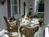 Belle Hearth Bed and Breakfast::BedAndBreakfast.com