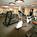 Courtyard by Marriott Meadowlands Secaucus::Expedia