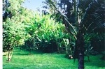 Gaia Gardens
