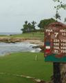 Waiehu Municipal Golf Course