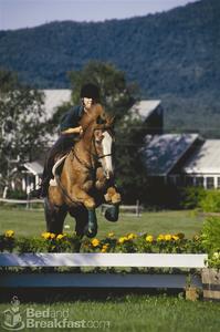 Mountain Top Inn & Resort::BedAndBreakfast.com
