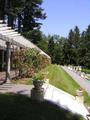 Tn-pergola-rose24-johnjthomas-350