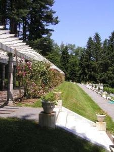 Web-pergola-rose24-johnjthomas-350
